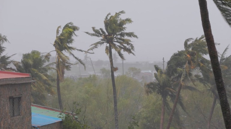 Branches of trees sway as cyclone Freddy hits, in Quelimane, Zambezia, Mozambique