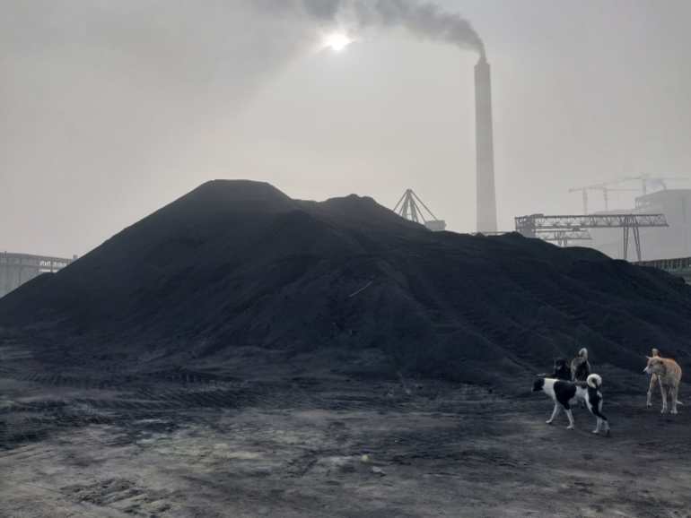 coal stored in Godda plant