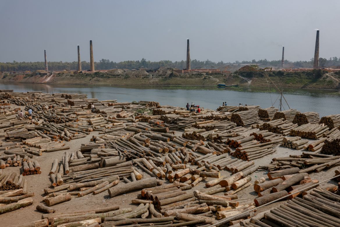 Tree trunks are stacked in a timber market on the bank of the Bangshai river, upstream of the Buriganga river