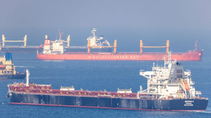 Cargo ship Despina V, carrying Ukrainian grain, is seen in the Black Sea off Kilyos near Istanbul, Turkey