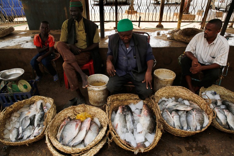 Sudanese fishermen display their fish for sale
