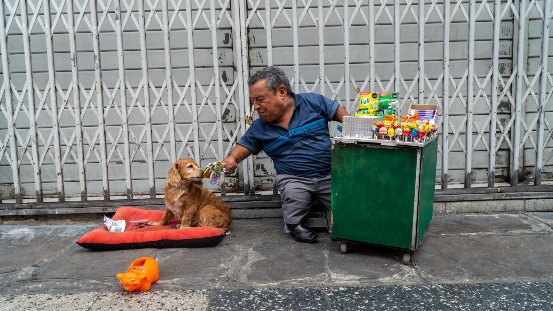 A street vendor in Peru, with his dog