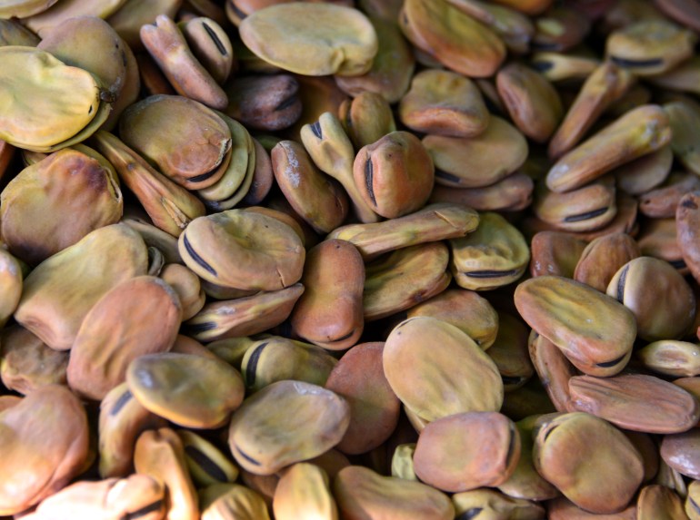 Photo of dried fava beans
