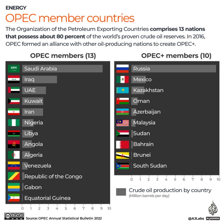 INTERACTIVE---OPEC-member-countries-oil