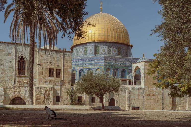 The Dome of the Rock framed by buildings and trees