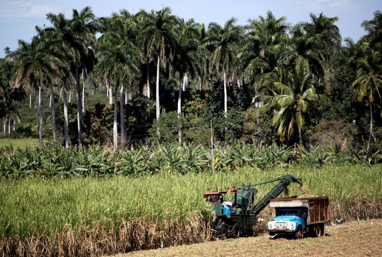 A combined harvester cuts sugar cane in a field near the village of Riquelme in the province of Villa Clara in central Cuba