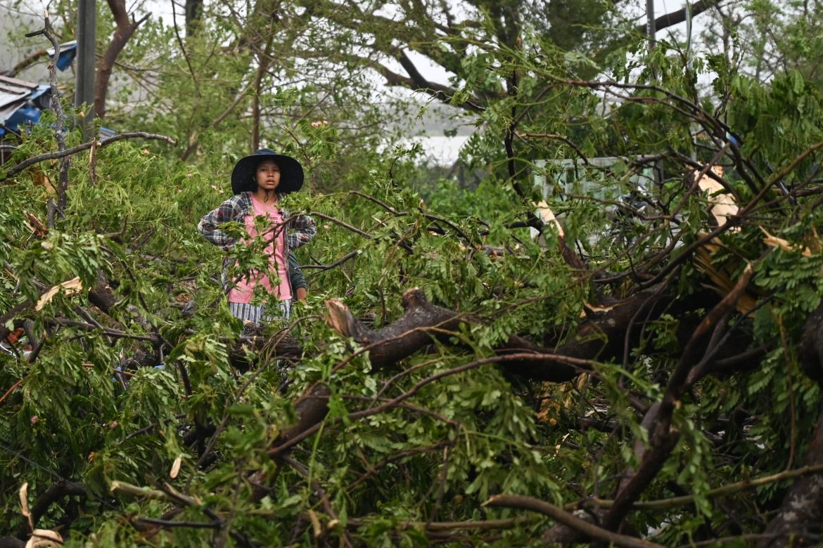 A woman stands amid fallen trees in Kyauktaw in Myanmar's Rakhine state