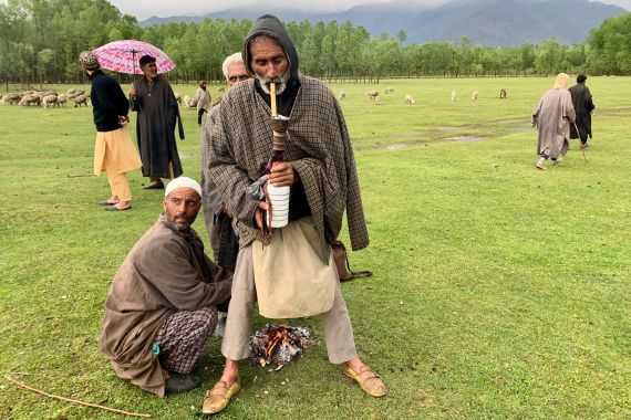 A group of livestock herders who often stumble into herds of wild boars while grazing sheep in northern Kashmir