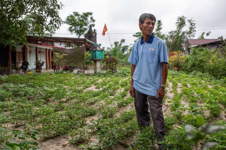 Ho Sy Bay standing in his vegetable patchj. There are plants in lines on the ground. There is a building behind him and a Vietnamese flag flying. There are also banana trees and palms. Sy is wearing a pale blue shirt and blue trousers.