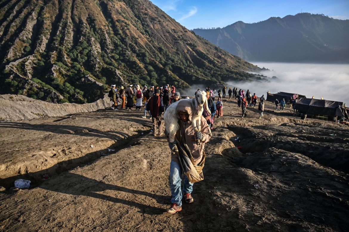 Members of the Tengger sub-ethnic group carries a goat for offering on the active Mount Bromo volcano