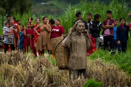 Farmers in Nepal celebrate rice planting day with special feasts and festivities