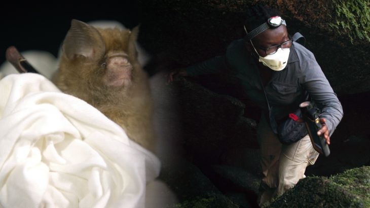 Bat Couple: Nigeria’s bat researchers
