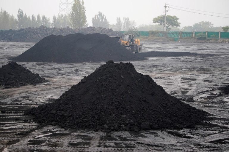 coal 