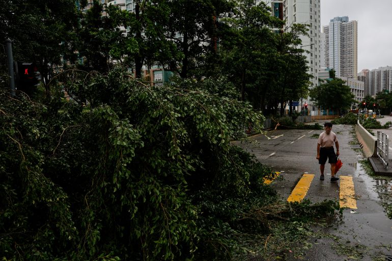 A man walks near fallen trees following Super Typhoon Saola, in Hong Kong, China September 2, 2023. REUTERS/Tyrone Siu