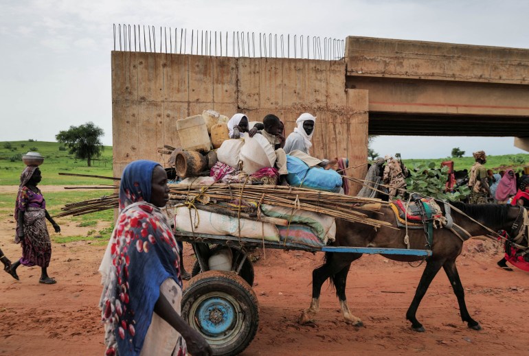 A Chadian cart owner transports belongings of Sudanese people who fled the conflict in Sudan's Darfur region, while crossing the border between Sudan and Chad in Adre, Chad August 4, 2023. REUTERS/Zohra Bensemra/File Photo