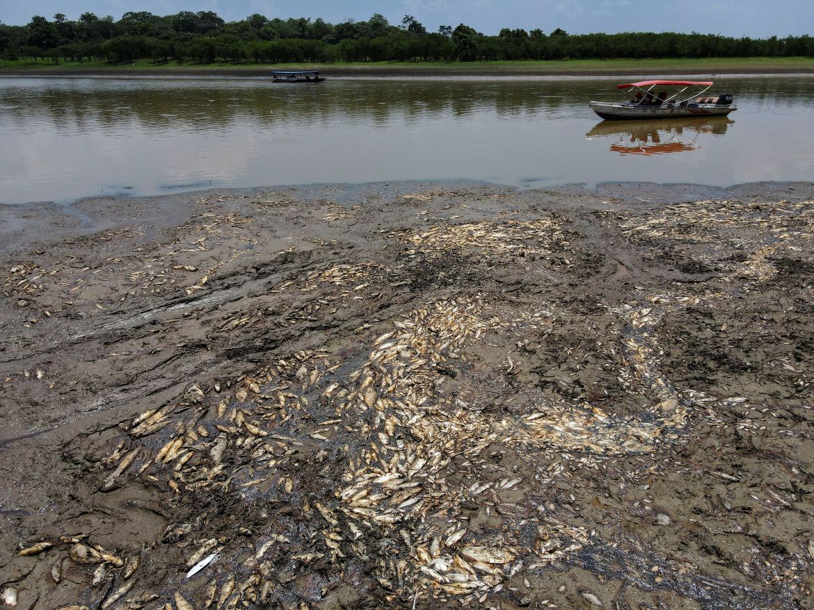 Dead fish are seen at Piranha lake, in Manacapuru, state of Amazonas, Brazil