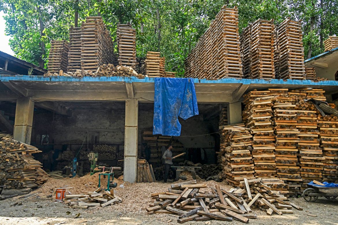 Rampant logging hits Kashmir's cricket batmakers