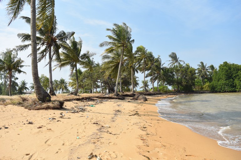 A sandy beach in Rempang. There are coconut palms and waves lapping at the beach.
