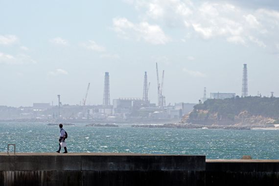 A view of the Fukushima nuclear plant from Namie. The sea is blue and sparkling. Someone is walking on a breakwater.