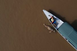 A dead Amazon dolphin at confluence of Tefe Lake and the Solimoes River in Tefe, Amazonas state, Brazil, on October 1, 2023 [Bruno Kelly/AP Photo]
