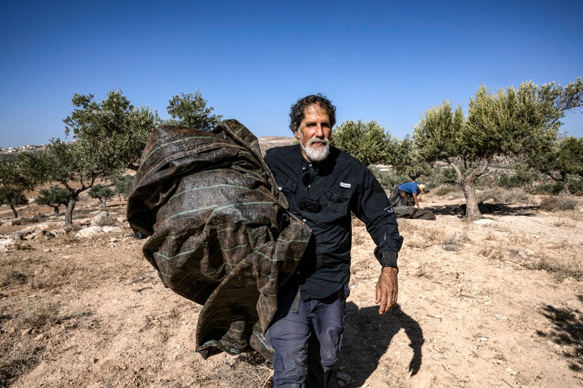 US-born Israeli Reform Jewish rabbi Arik Ascherman, a member of the Israeli human rights organization "Rabbis for Human Rights", helps Palestinians during the olive harvest at a grove outside Ramallah in the occupied West Bank.