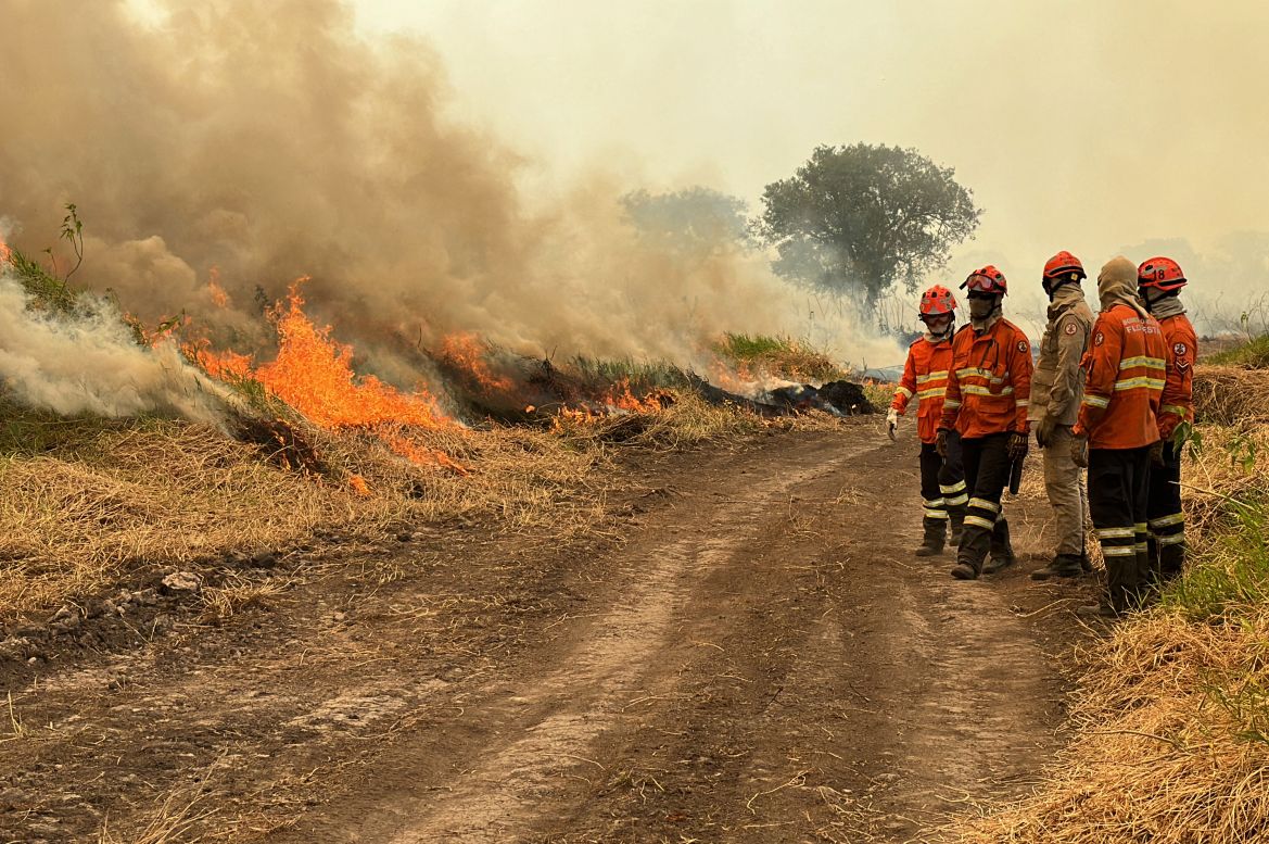 Firefighters tackle forest fires in the Pantanal wetland near Porto Jofre, Mato Grosso State, Brazil.