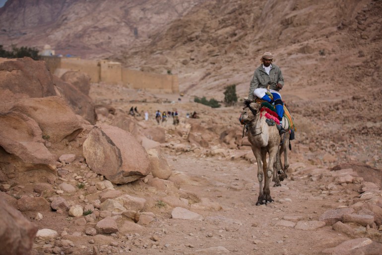 a Bedouin leads camels to a rest stop on a trail