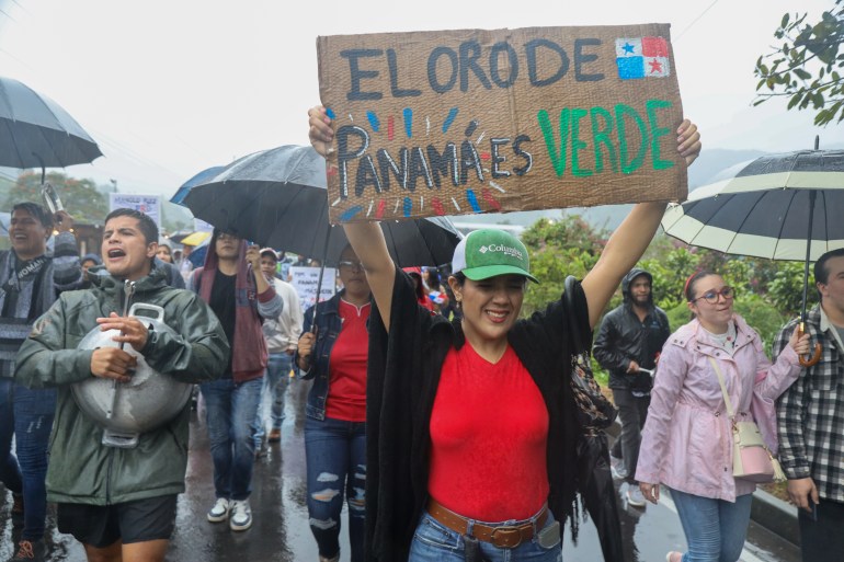 Protestor in Panama holds up sign saying: Green is gold