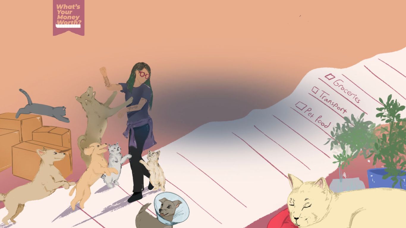 An illustration of a woman standing with three dogs and two cats jumping in front of her trying to get her attention with another dog walking away on the right, a cat jumping from four boxes on the left and a cat sleeping on the right. The woman is standing on a long receipt or list that acts as a road.