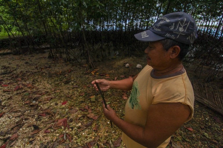 Alejandro Sumayang showing how he plants the seedlings. The ground is sandy and muddy, He has a stick in his hand. 