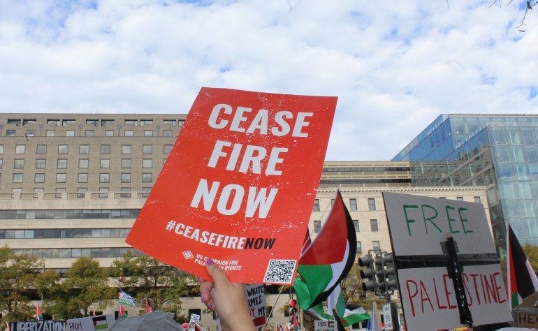 Protester in Washington, DC holds sign that says 'cease fire now'