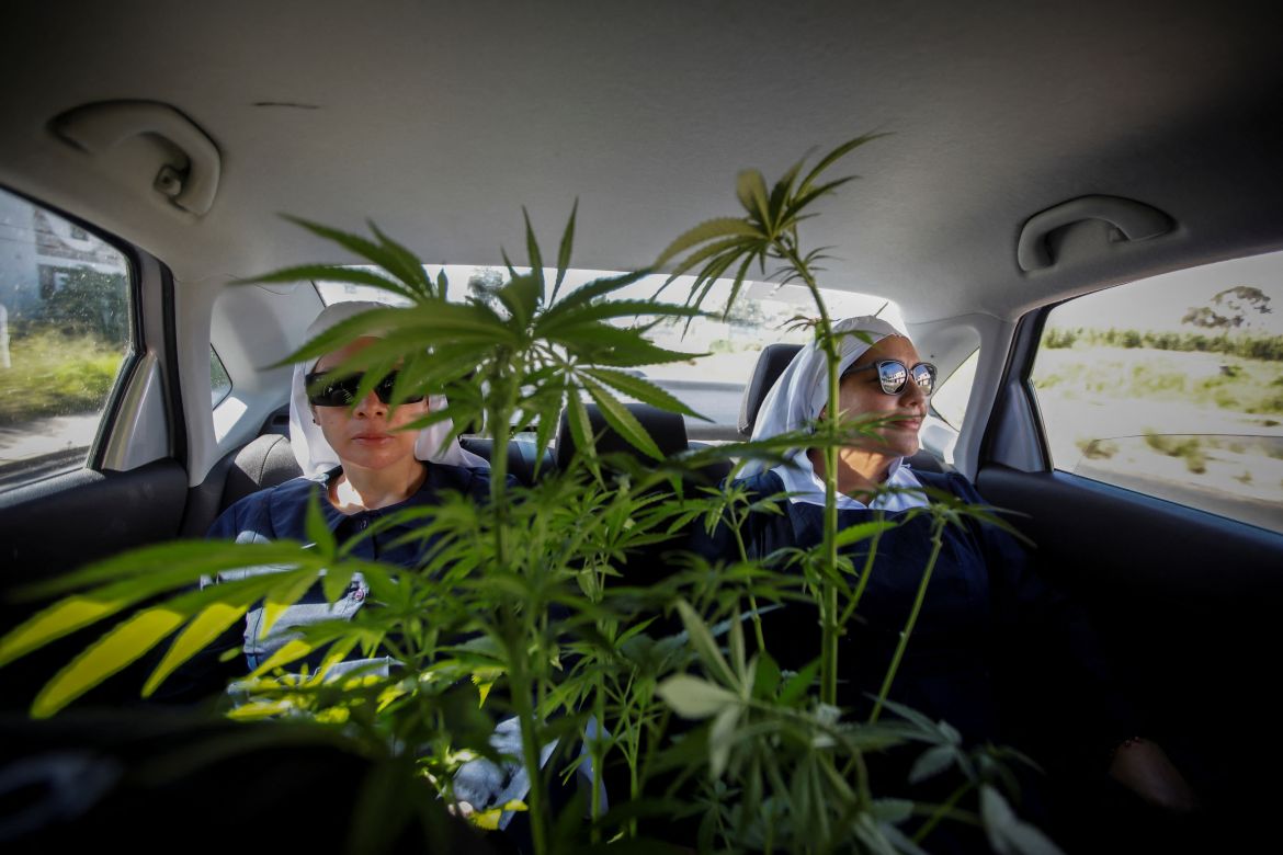 Members of Sisters of the Valley, a non-religious international group founded in 2014 which has pledged to spread the gospel of the healing powers of cannabis, who use the monikers "Sister Kika" and "Sister Bernardet" online and asked not to give their names for fear of reprisal, transport a cannabis plant, on the outskirts of a village in central Mexico, September 3, 2023.