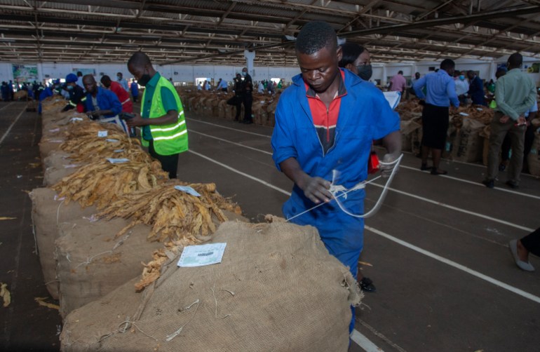 A worker sews a bale of purchased tobacco at the Lilongwe Auction Floors