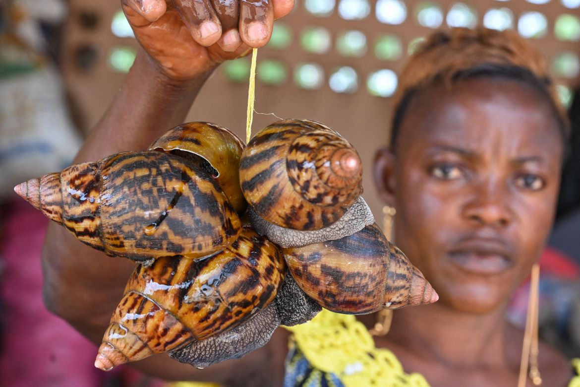A vendor holds snails at a market in Azaguie.