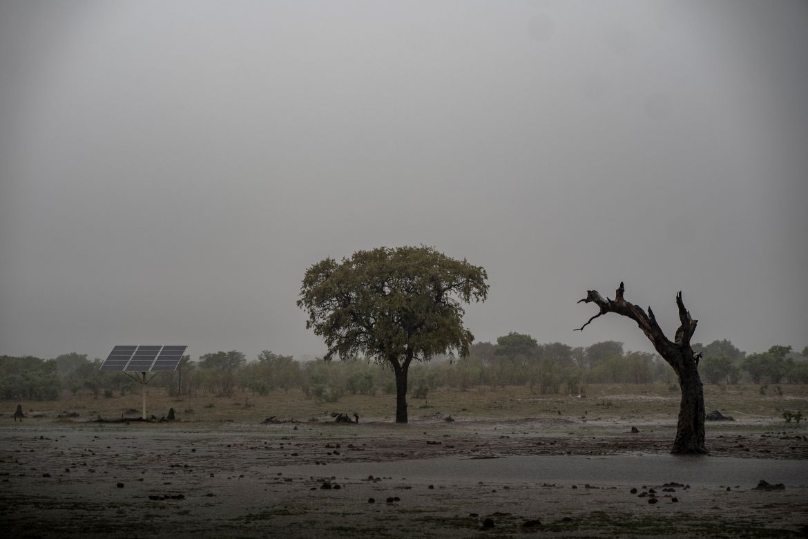 Rain showers at a watering whole in Hwange National Park in Hwange, northern Zimbabwe on December 16, 2023.