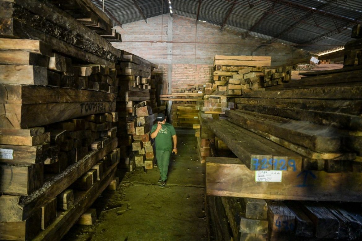 A man walks next to illegal timber at a warehouse in the municipality of Socorro, department of Santader, Colombia, on December 3, 2023.