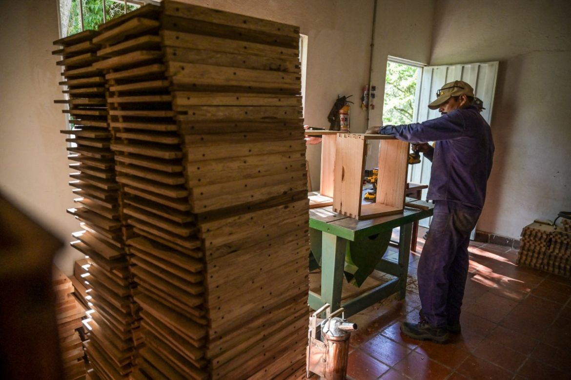 A worker builds hives with illegal timber in the municipality of Socorro, department of Santader, Colombia