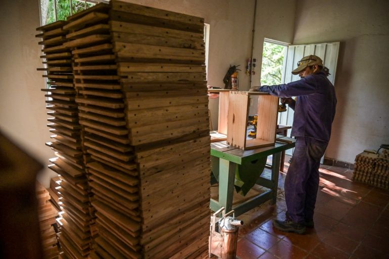 A worker builds hives with illegal timber in the municipality of Socorro, department of Santader, Colombia