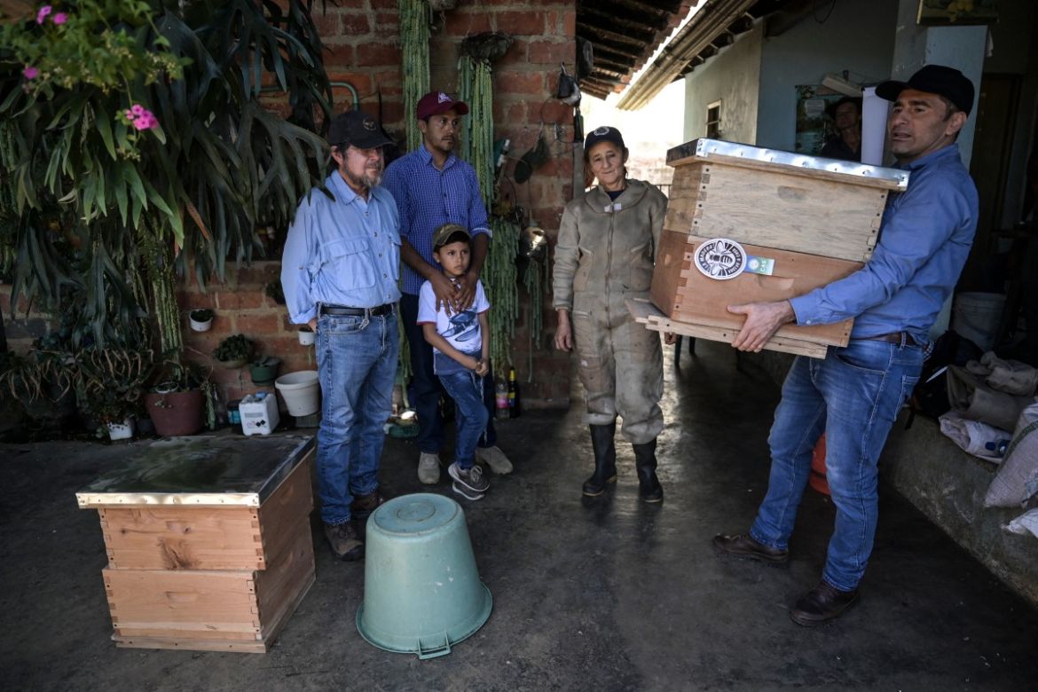 Biologist Germán Perilla (R) hands beekeeper María Zoila Acevedo (C) hives made from illegal timber in the municipality of Socorro, department of Santader, Colombia, on December 3, 2023.