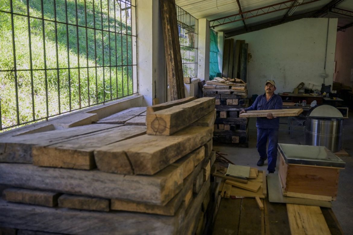 A worker builds hives with illegal timber in the municipality of Socorro, department of Santader, Colombia, on December 3, 2023.