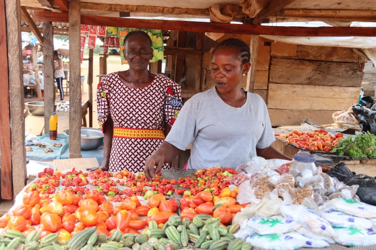 A photo of a two women, one is standing in the back and one is looking through vegetables and grains and spices at an outdoor market.