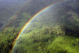 The Ulu Baram rainforest in the Miri interior, eastern Malaysian Borneo state of Sarawak