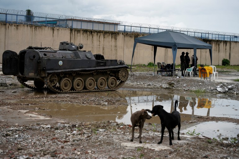 A tank sits outside a prison wall in Guayaquil. The ground is muddy, and in the foreground, two dogs sniff each other. A canopy tent with a couple of people underneath can be seen in the background.