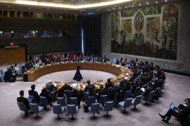 UN Security council