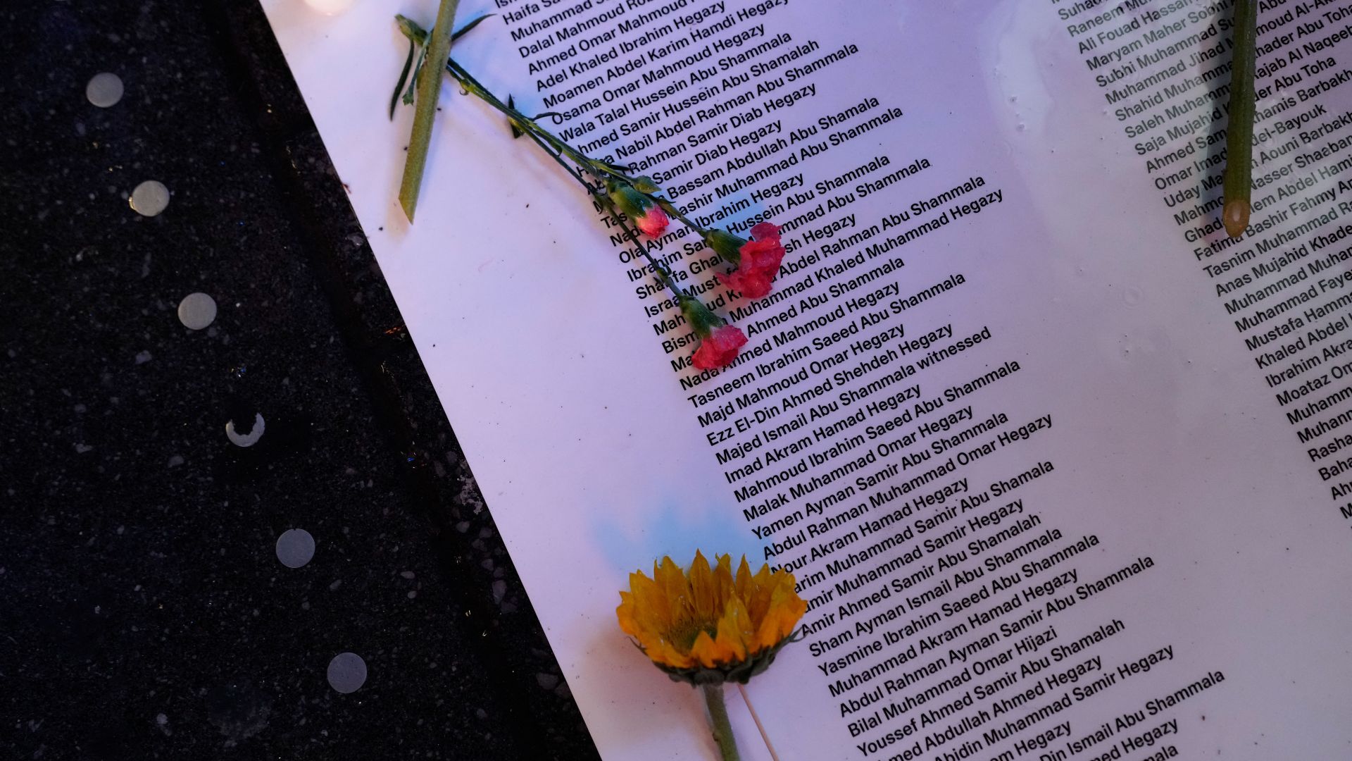 flowers lie on a list of names