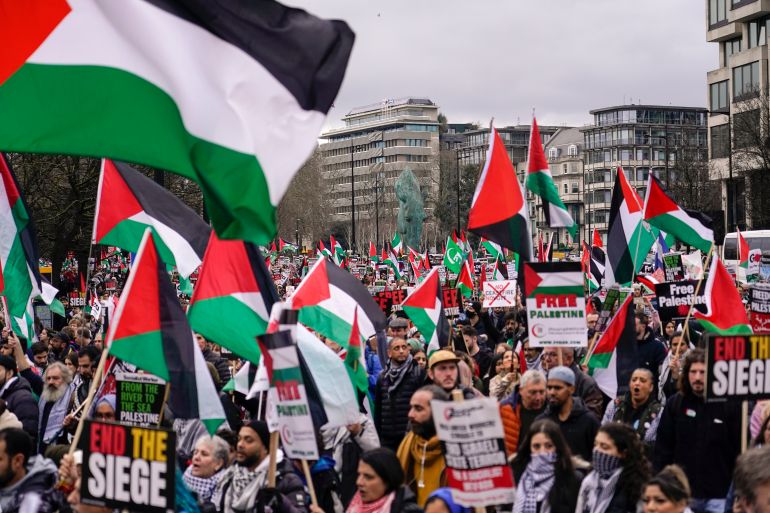 Protesters hold up flags and placards during a demonstration in support of Palestinian people in Gaza