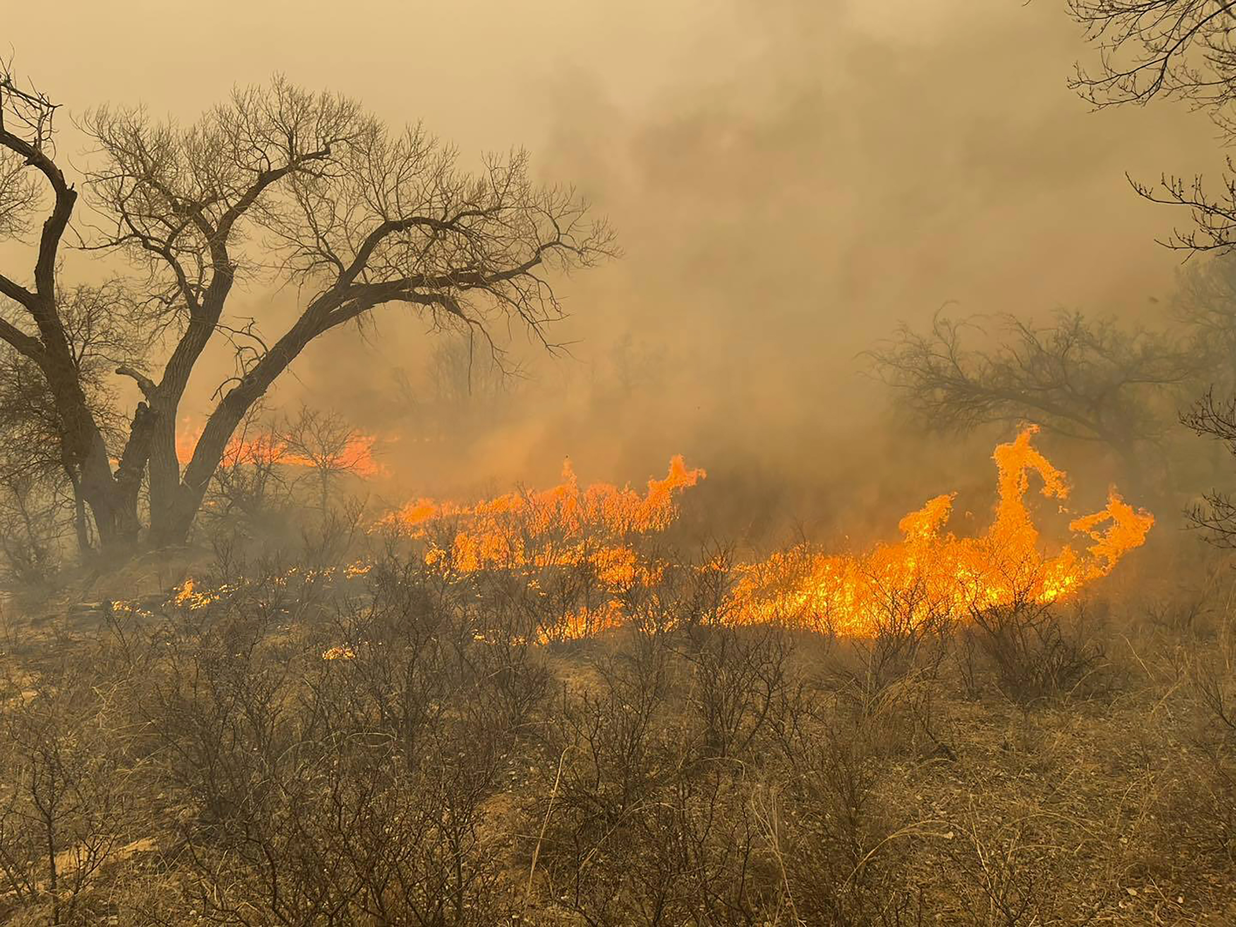 Wildfire grows into one of largest in Texas history