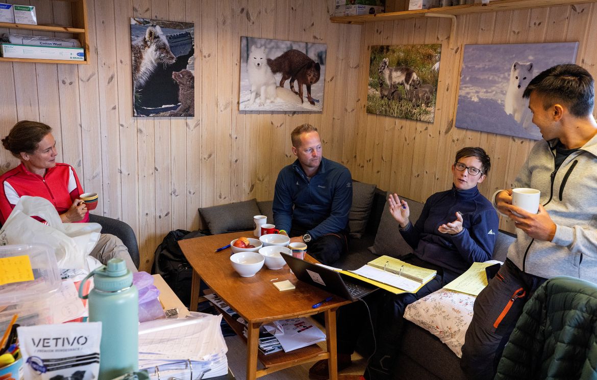 Veterinarian Marianne W. Furnes, Conservation biologists Craig Jackson, Kristine Ulvund and Kang Nian Jap take a break during a medical check-up on the foxes at the Arctic Fox Captive Breeding Station run by Norwegian Institute for Nature Research (NINA) near Oppdal, Norway, July 26, 2023. Climate change and habitat loss push thousands of the world's species to the edge of survival, disrupting food chains and leaving some animals to starve; and while some scientists say it's inevitable that we’ll need more feeding programs to prevent extinctions, others question whether it makes sense to support animals in landscapes that can no longer sustain them. "If the food is not there for them, what do you do?" said Jackson