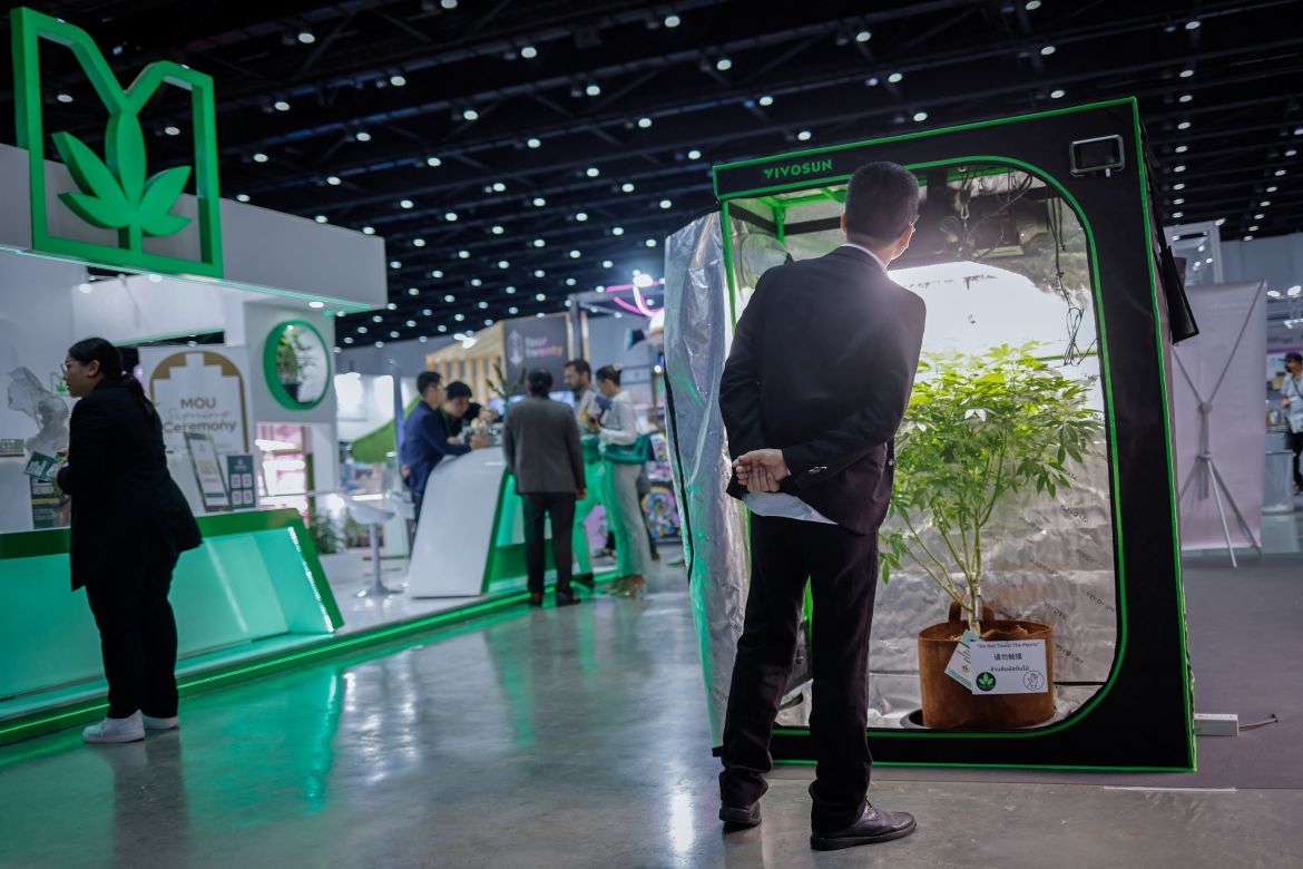 A man looks at a display of indoor growing technology during a cannabis industry expo in Bangkok