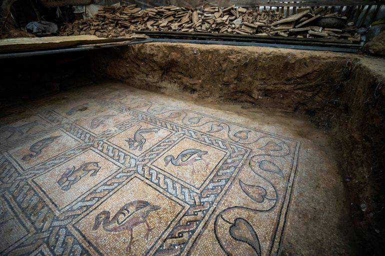 Details of parts of a Byzantine-era mosaic floor are uncovered by a Palestinian farmer in Bureij in central Gaza Strip, Sept. 5, 2022. The man says he stumbled upon it while planting an olive tree last spring and quietly excavated it over several months with his son. Experts say the discovery of the mosaic — which includes 17 well-preserved images of animals and birds — is one of Gaza's greatest archaeological treasures. They say it's drawing attention to the need to protect Gaza's antiquities, which are threatened by a lack of resources and the constant threat of fighting with Israel. (AP Photo/Fatima Shbair)